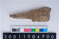 藏品(削製骨器)的圖片