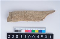 藏品(削製骨器)的圖片