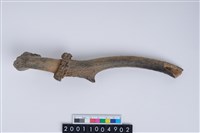 藏品(帶切鋸痕骨器)的圖片