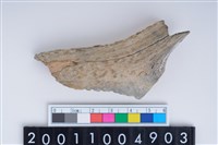 藏品(砍製骨器)的圖片