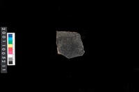 藏品(腹片)的圖片