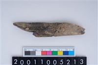 藏品(獸骨)的圖片