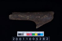 藏品(鹿角)的圖片