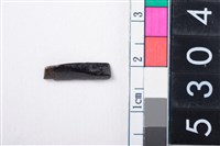 藏品(鹿骨)的圖片