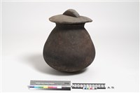 藏品(陶壺)的圖片