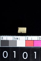 藏品(石管珠)的圖片