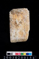 藏品(石錛)的圖片