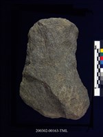 藏品(石斧)的圖片