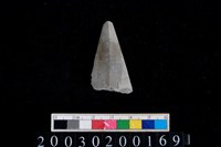 藏品(石鏃)的圖片