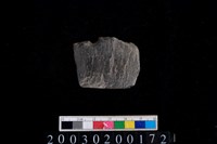 藏品(石鏃)的圖片