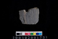 藏品(石鏃)的圖片