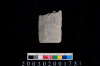 藏品(石鏃)的圖片