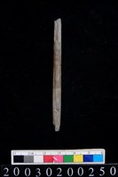 藏品(石錐)的圖片