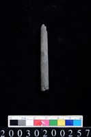 藏品(石錐)的圖片