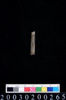 藏品(石錐)的圖片