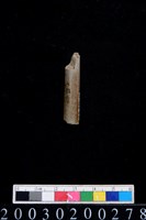 藏品(石錐)的圖片