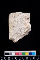 藏品(石錛)的圖片