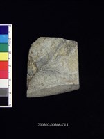 藏品(石錛)的圖片