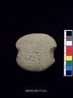 藏品(石網墜)的圖片