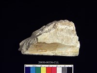 藏品(石廢料)的圖片