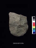 藏品(石斧)的圖片