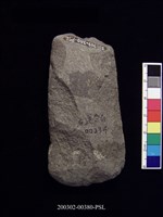 藏品(石斧)的圖片