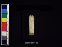 藏品(石錛)的圖片