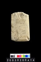 藏品(石錛)的圖片