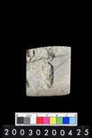 藏品(石錛)的圖片