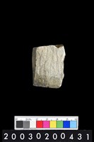 藏品(石錛)的圖片