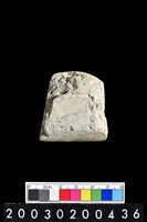 藏品(石錛)的圖片