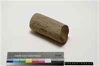 藏品(石杵)的圖片