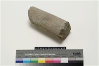 藏品(石杵)的圖片