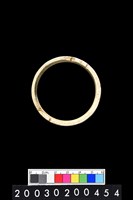 藏品(石環)的圖片