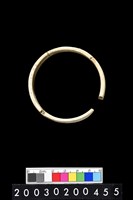 藏品(石環)的圖片