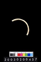 藏品(石環)的圖片