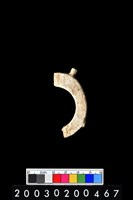 藏品(帶四突起環狀玦形玉耳飾)的圖片