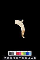 藏品(帶四突起環狀玦形玉耳飾)的圖片