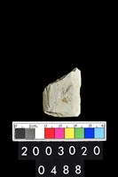 藏品(石鏃)的圖片