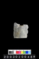 藏品(石鏃)的圖片