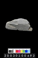 藏品(石鏃)的圖片