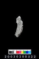 藏品(石環)的圖片