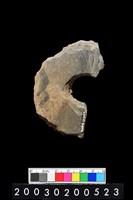 藏品(帶穿孔板岩)的圖片