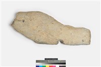 藏品(帶穿孔板岩)的圖片