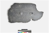 藏品(帶穿孔板岩)的圖片