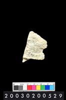 藏品(石廢料)的圖片