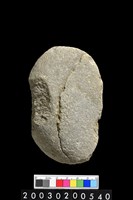 藏品(石斧)的圖片