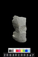 藏品(石斧)的圖片