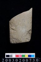 藏品(石錛)的圖片