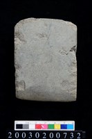 藏品(石錛)的圖片